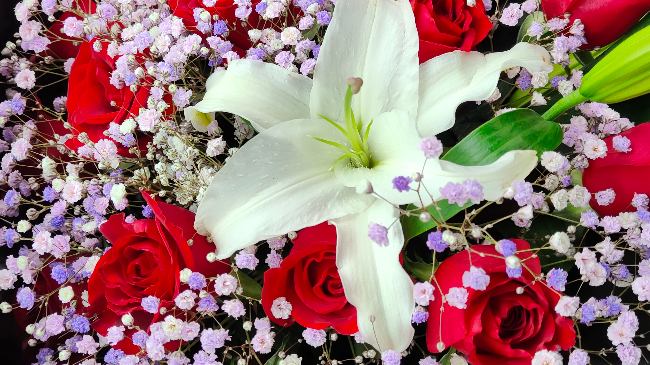 淡淡的花香 席慕蓉