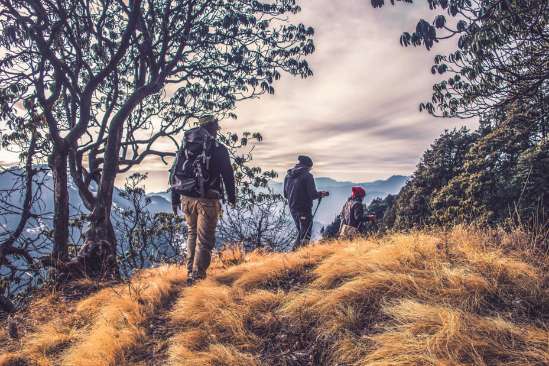 鹧鸪天·代人赋 辛弃疾