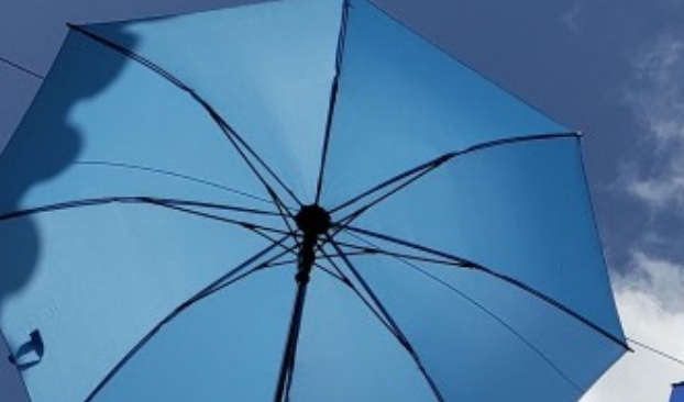 《以梦为马》海子