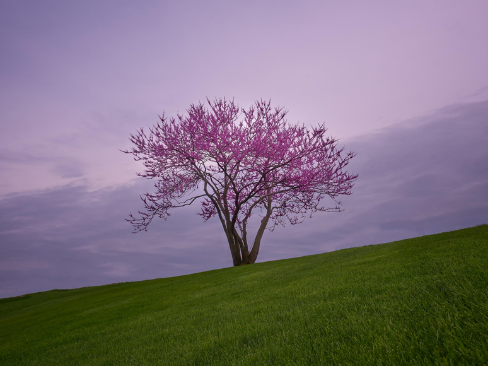 【经典重读】契诃夫:装在套子里的人
