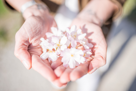 朱自清《荷塘月色》